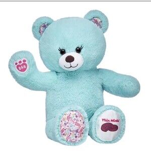 BAB workshop Thin Mint Girl Scouts stuffed teddy bear w brownie uniform & hoodie